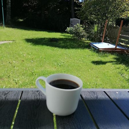 Ferienhaus Hoher Weg - Urlaub, Wandern, Downhill Und Workation Am Nationalpark Harz ザンクト・アンドレーアスベルク エクステリア 写真