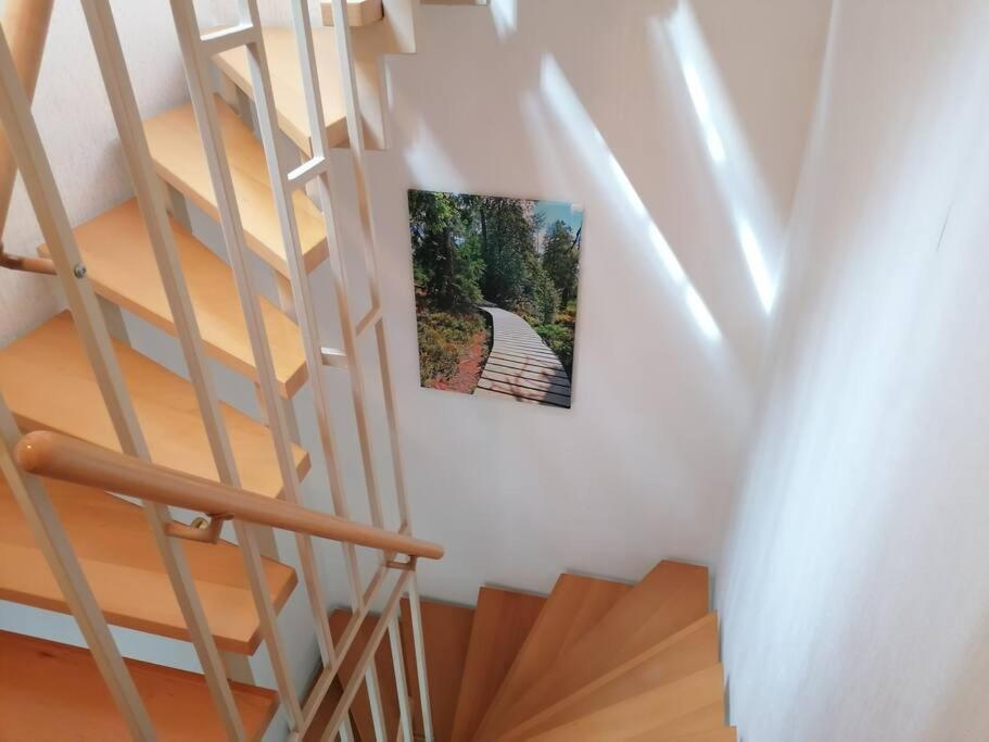 Ferienhaus Hoher Weg - Urlaub, Wandern, Downhill Und Workation Am Nationalpark Harz ザンクト・アンドレーアスベルク エクステリア 写真