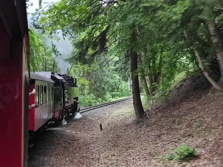 Ferienhaus Hoher Weg - Urlaub, Wandern, Downhill Und Workation Am Nationalpark Harz ザンクト・アンドレーアスベルク エクステリア 写真