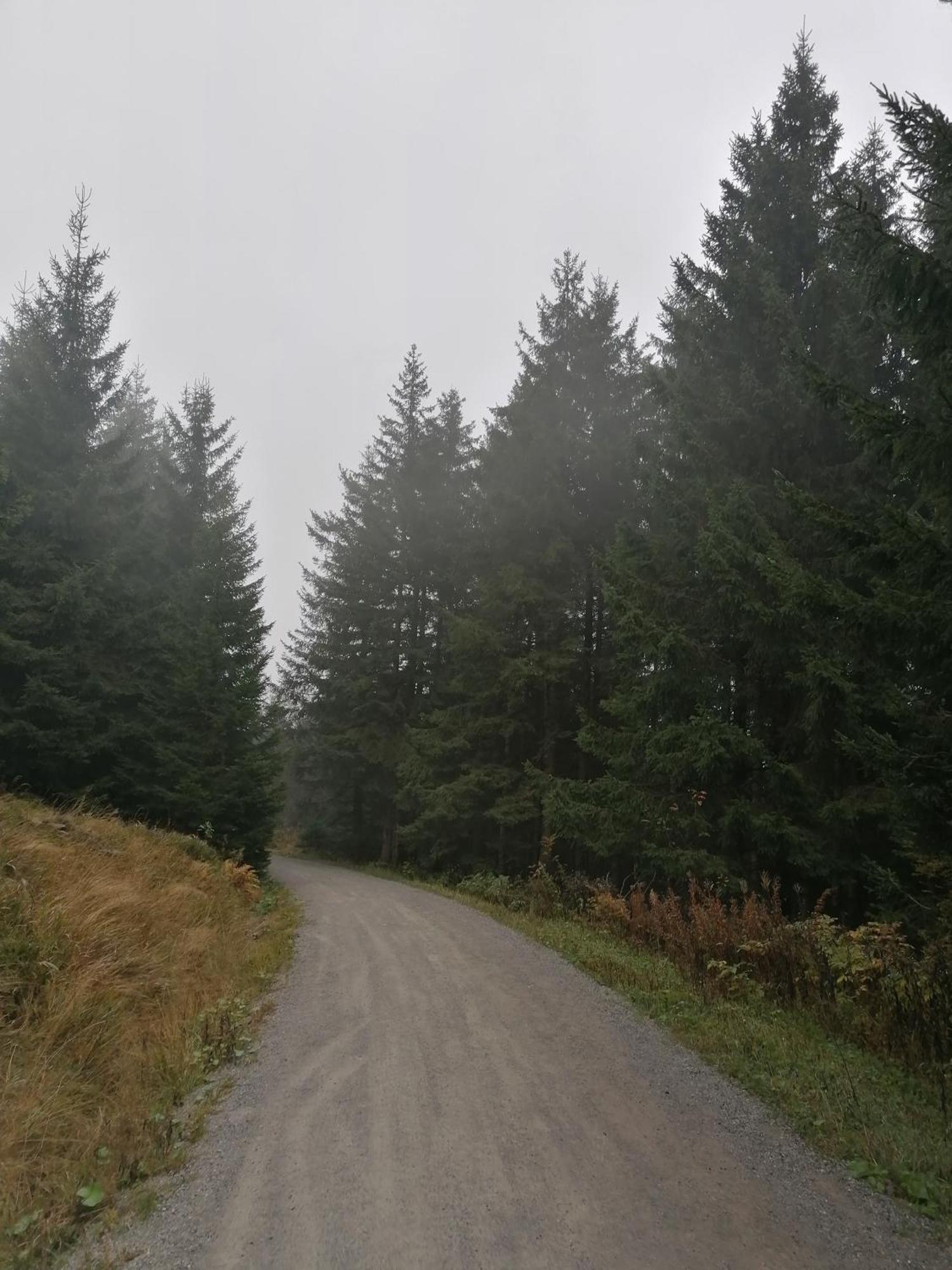 Ferienhaus Hoher Weg - Urlaub, Wandern, Downhill Und Workation Am Nationalpark Harz ザンクト・アンドレーアスベルク エクステリア 写真